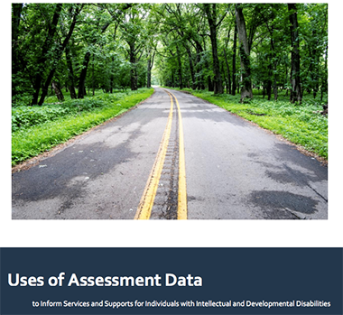 Michigan DHHS Uses of Assessment Data